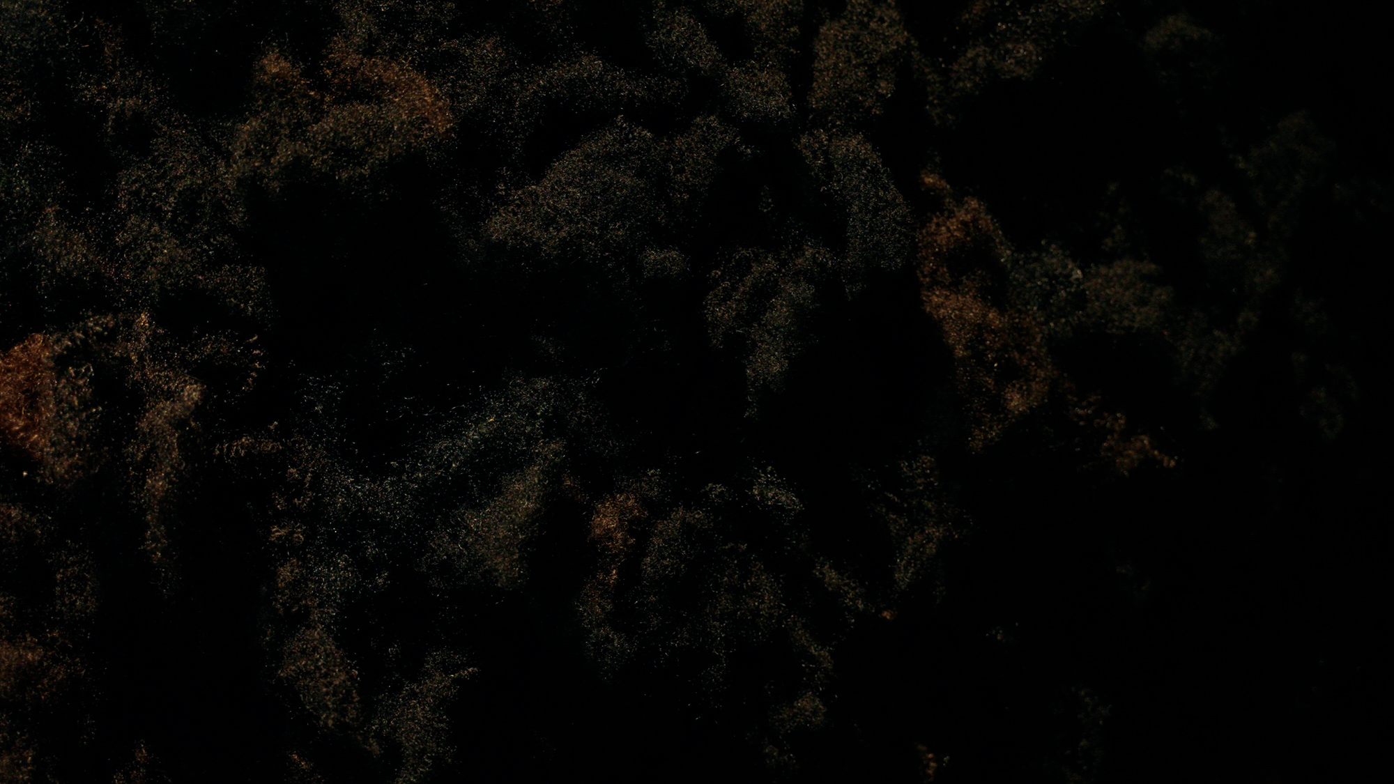 Still from the exhibition film