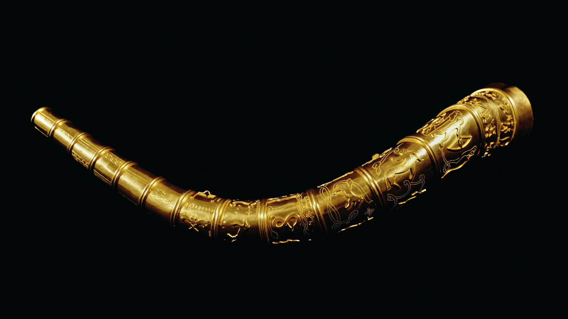The long golden horn on black