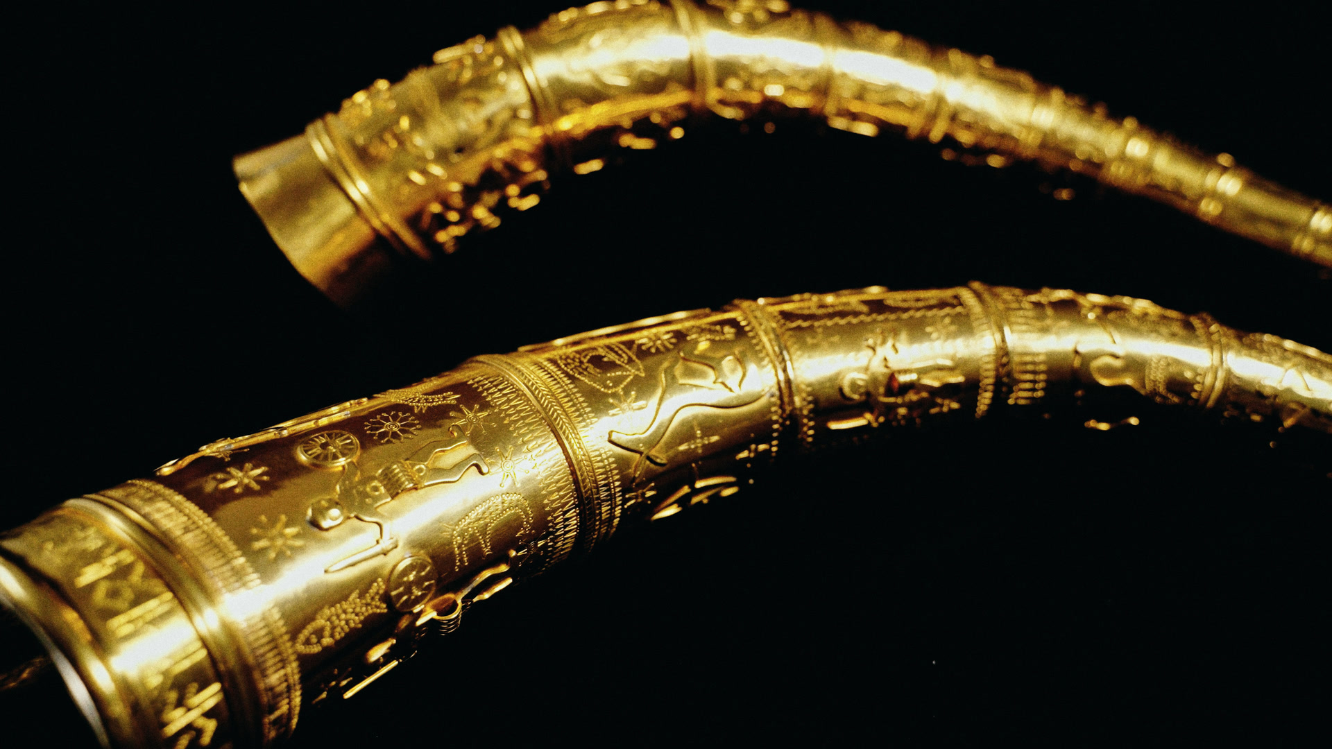 The two golden horns close up on black