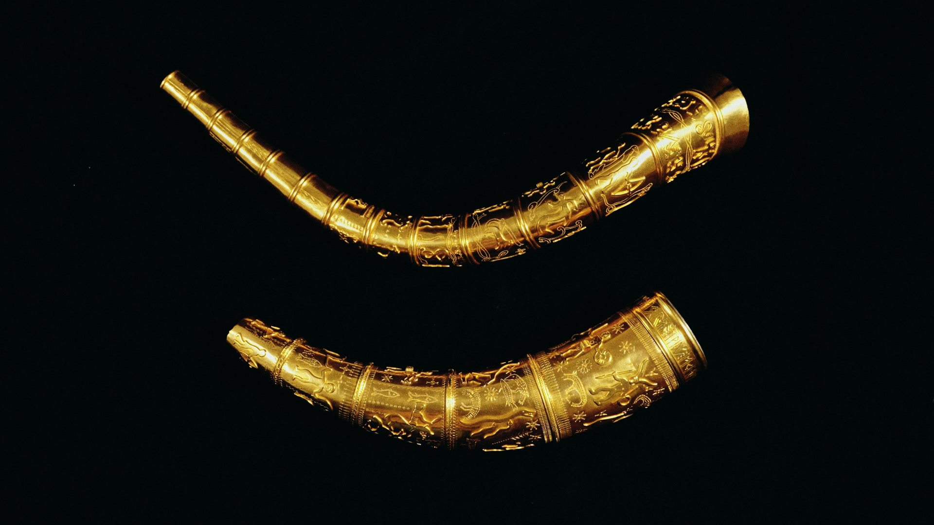 Both horns on black