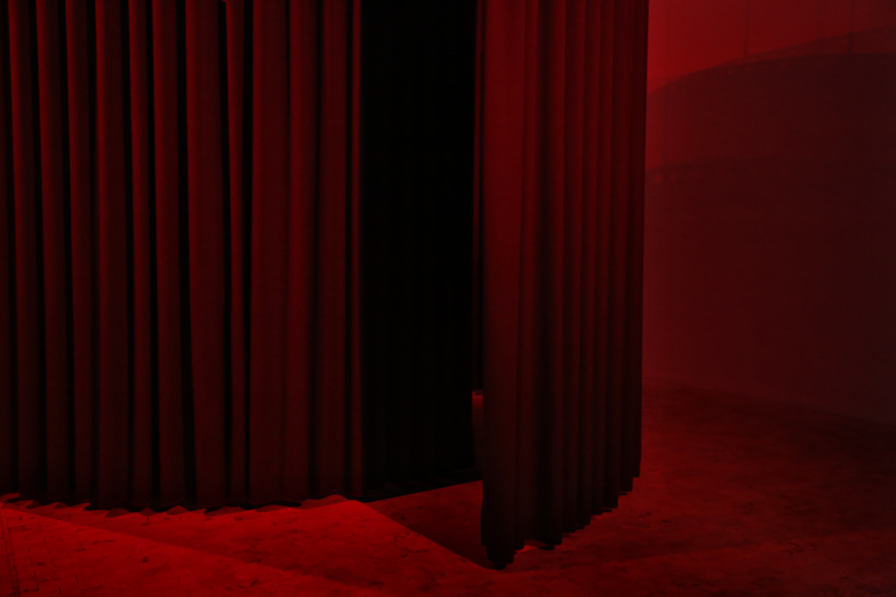OPUS MORS, installation view