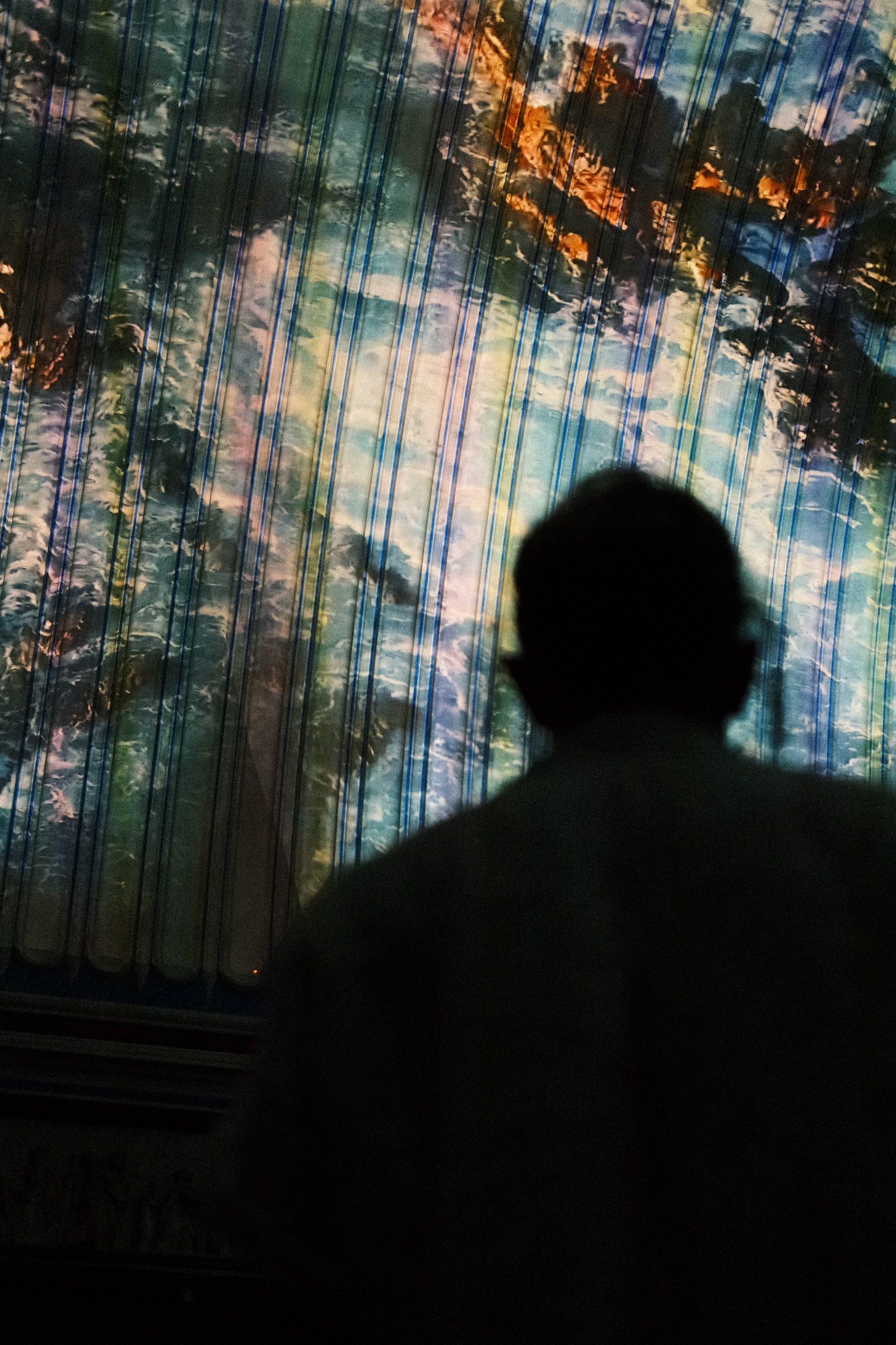 A silhouette against the projection